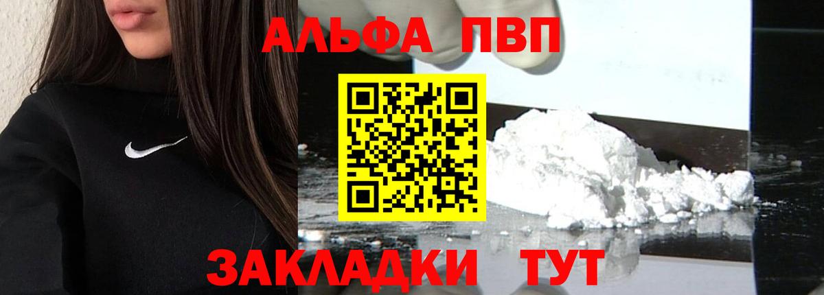 Alfa_PVP СК Кузнецк