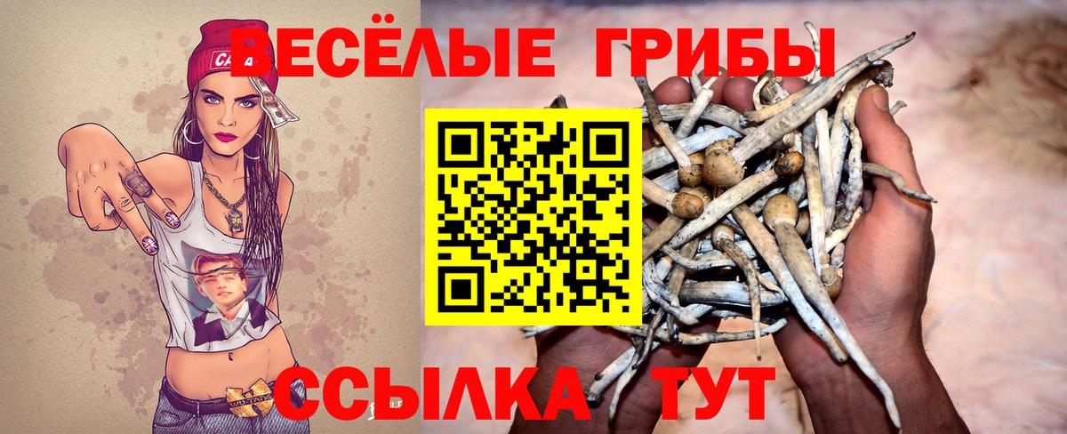 Псилоцибиновые грибы Psilocybine cubensis Кузнецк