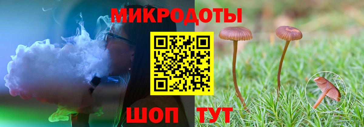 Кузнецк  Псилоцибиновые грибы Psilocybine cubensis  Вход с VPN 